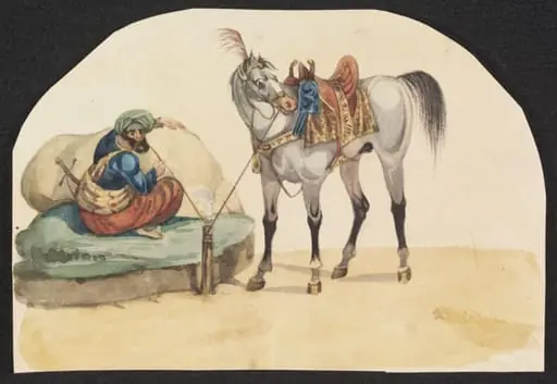 Horse and rider taking refreshments