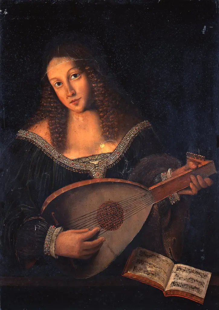 A Lute Player