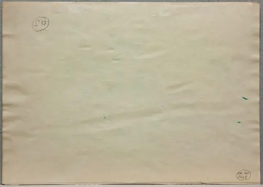S 37 - Natură statică - Vas cu flori la Sulina