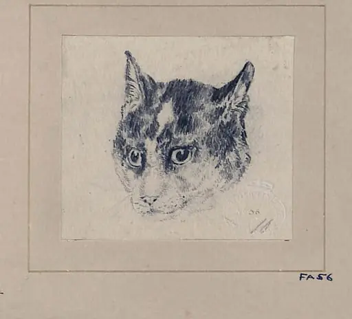 Drawing of a cat