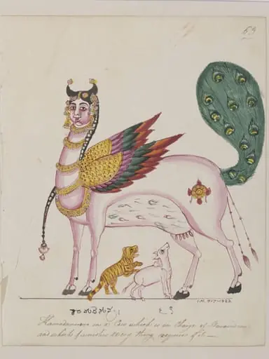 Surabhi or Kamadhenu, the magic wish granting cow