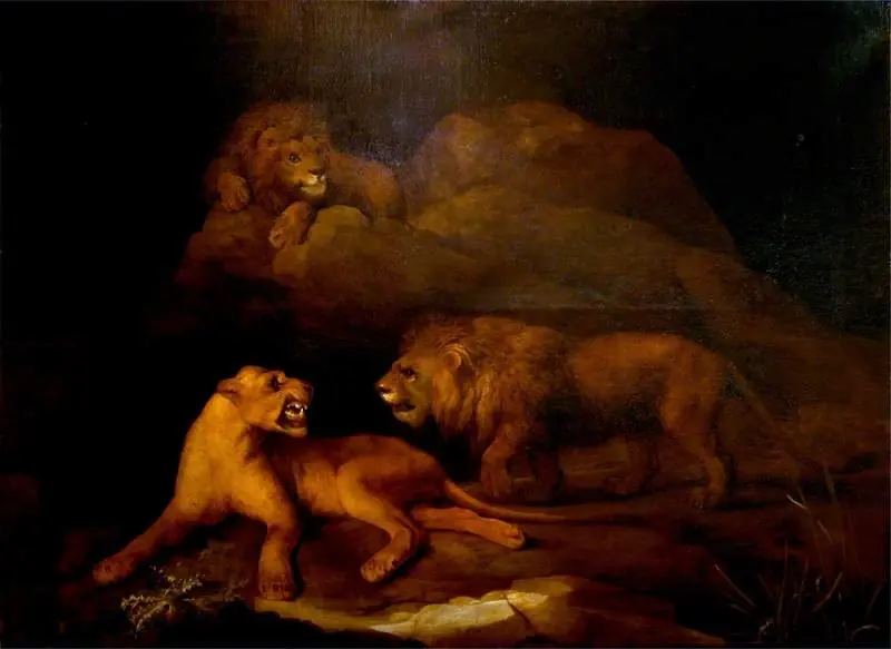 Lions and a Lioness with a Rocky Background