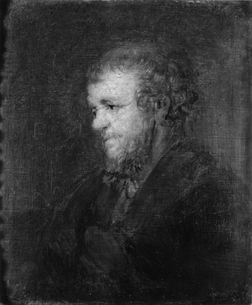 Head of an Old Man