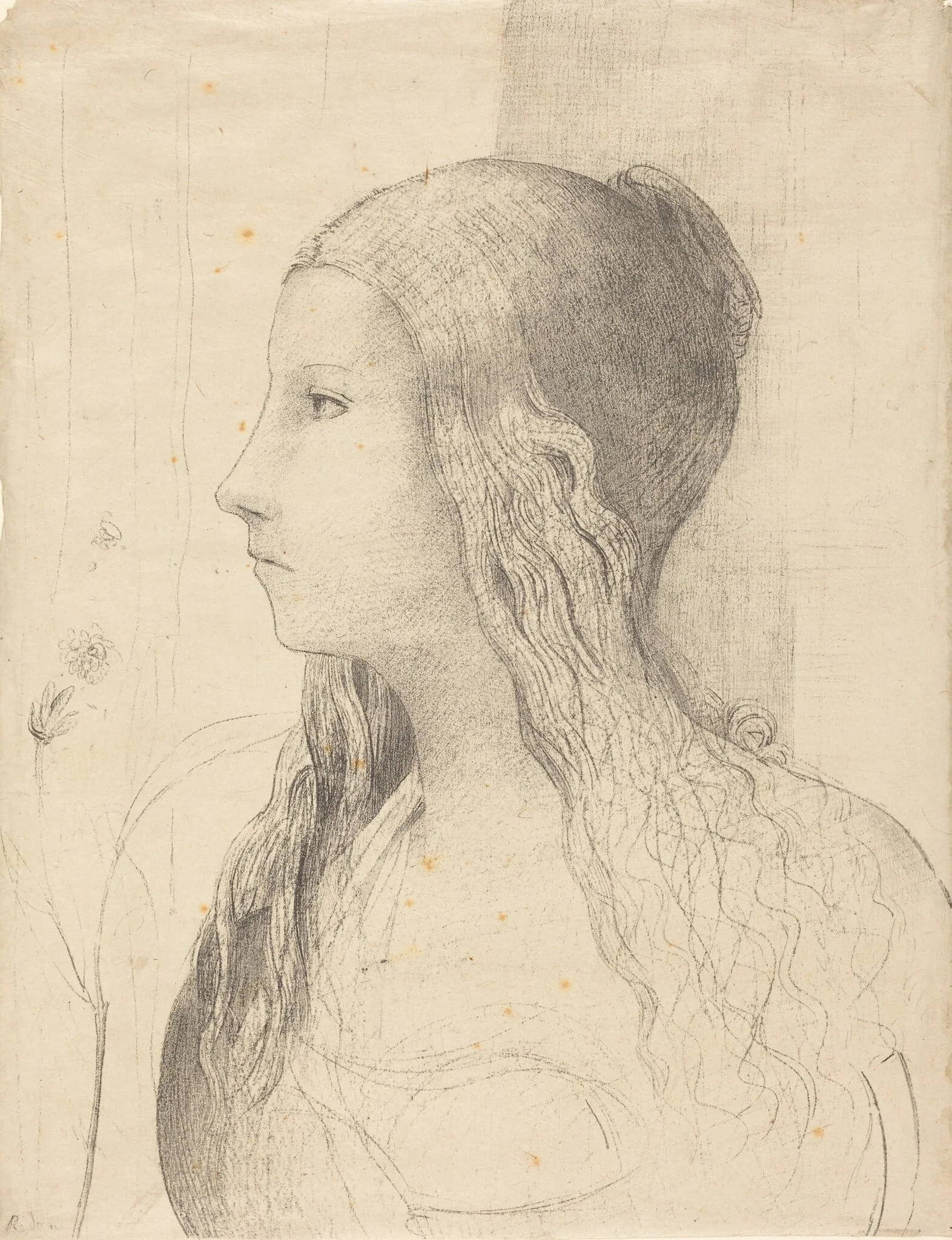 Brunnhilde