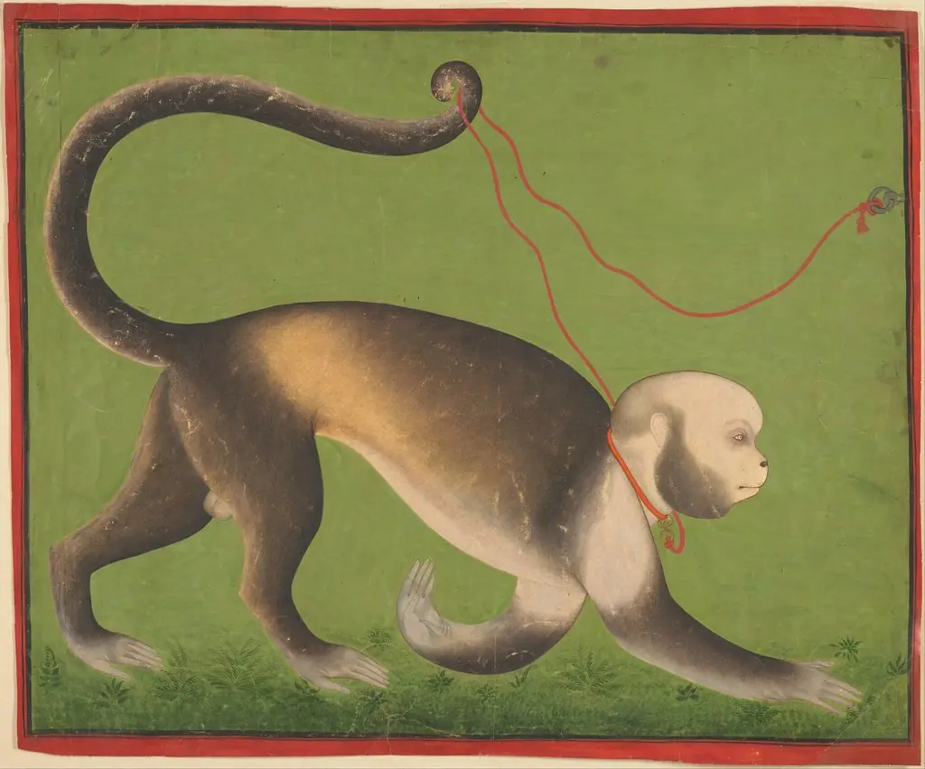 A Monumental Portrait of a Monkey