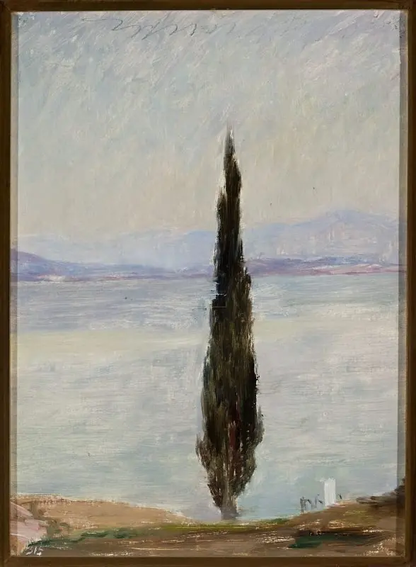 Cypress. From the journey to Constantinople