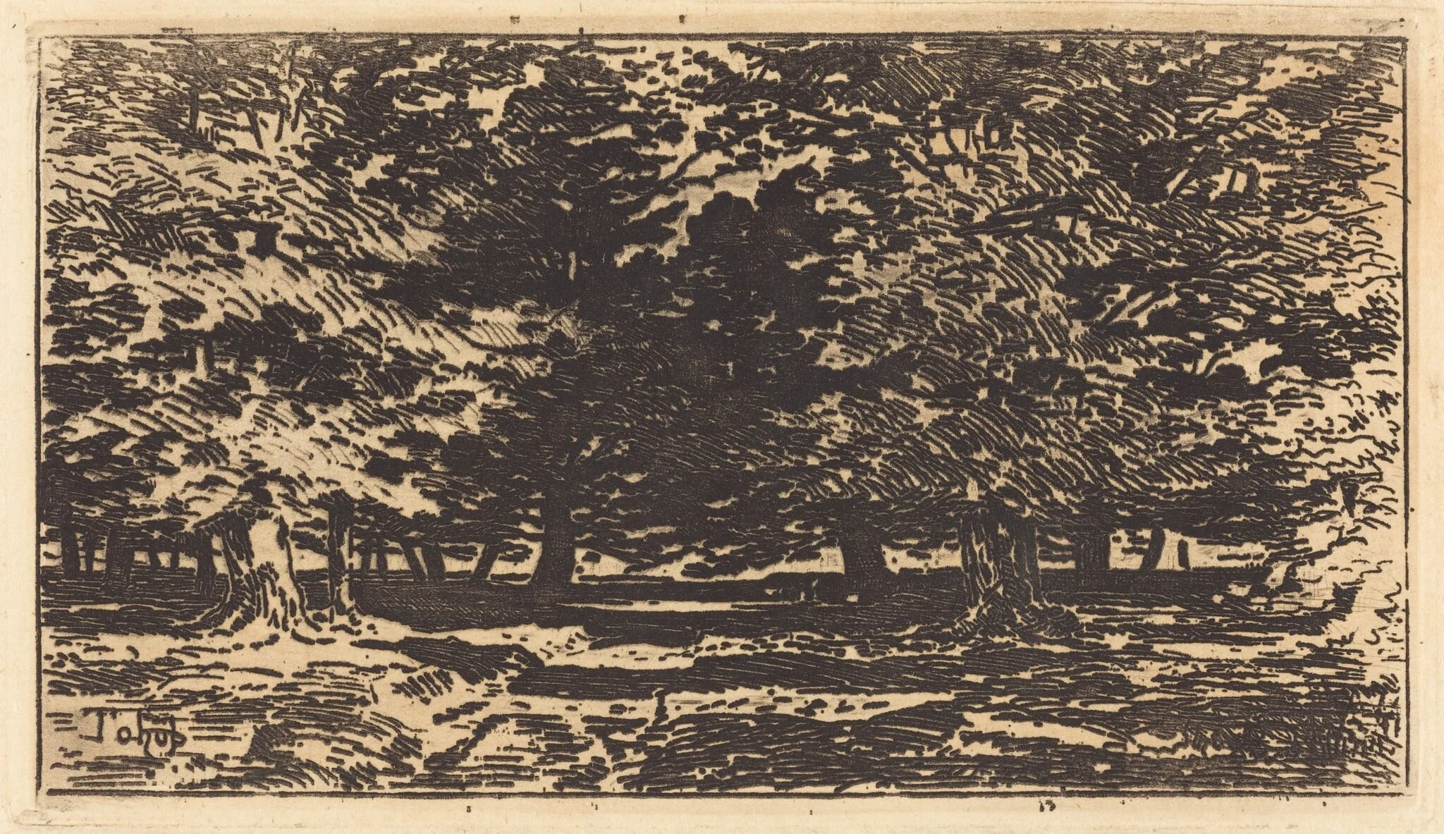 Forêt, by Félix-Hilaire Buhot, ink, 1872
