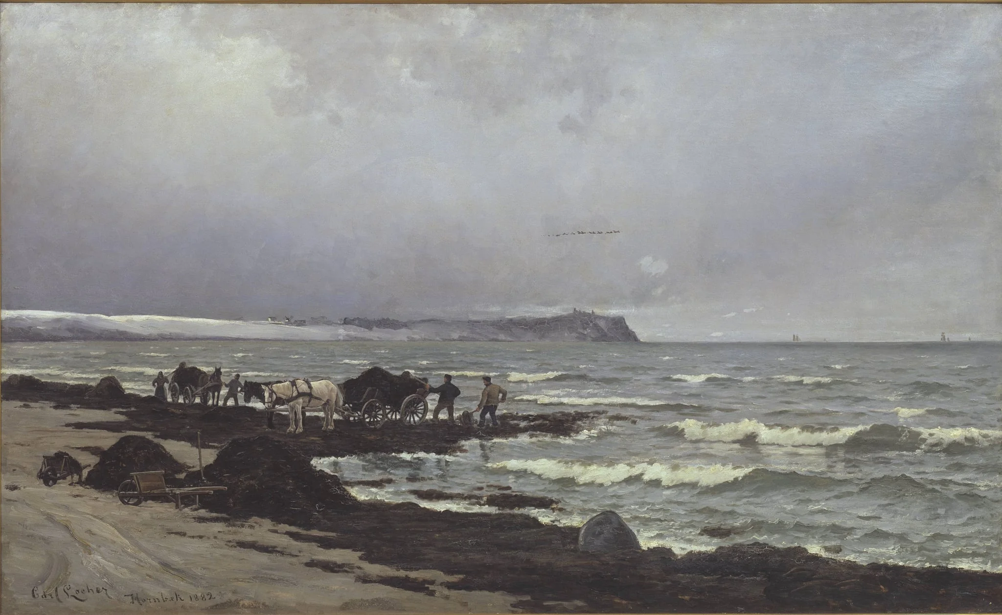 Der læsses tang ved Hornbæk Strand, by Unknown, 1882
