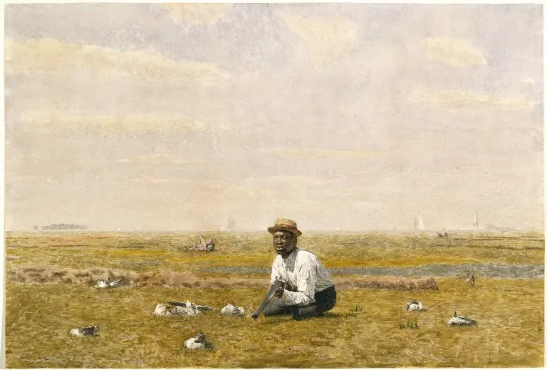 Whistling for Plover