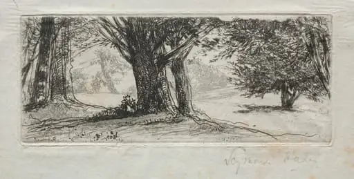 Holly Field