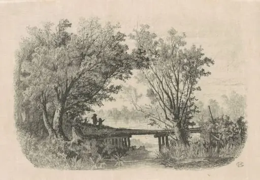 Willows