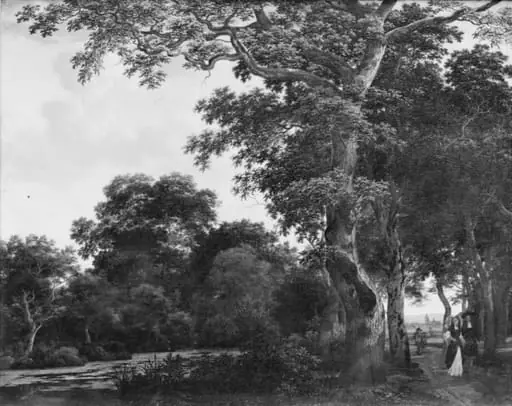 The Oak Avenue