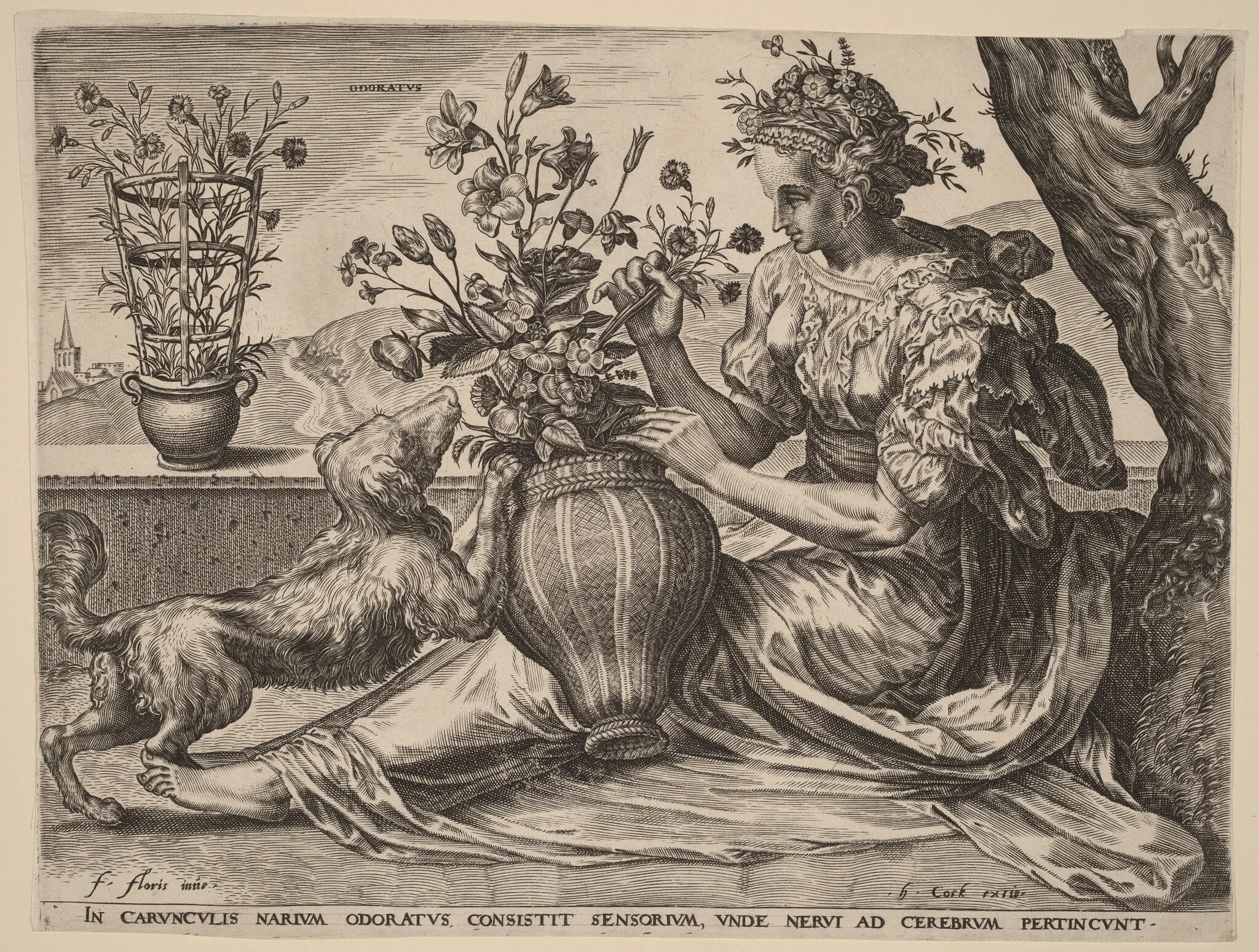 Odoratus (Smell), by Cornelis Cort, ink, 1561
