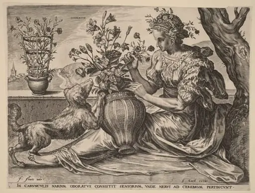 Odoratus (Smell)