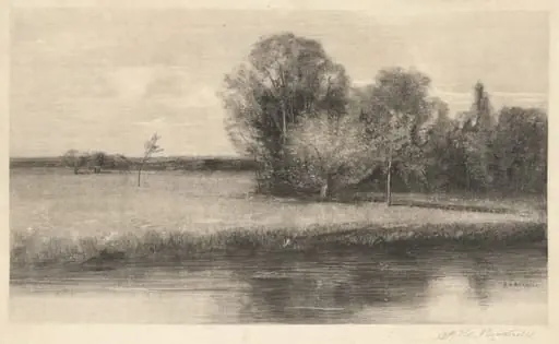 A Sun-dappled Meadow by a River