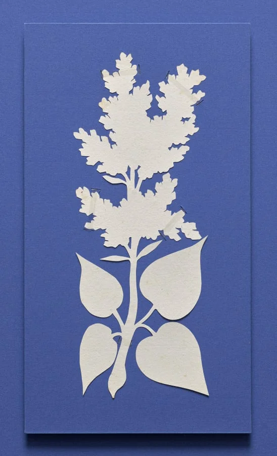 Lilac, by Philipp Otto Runge, 1802