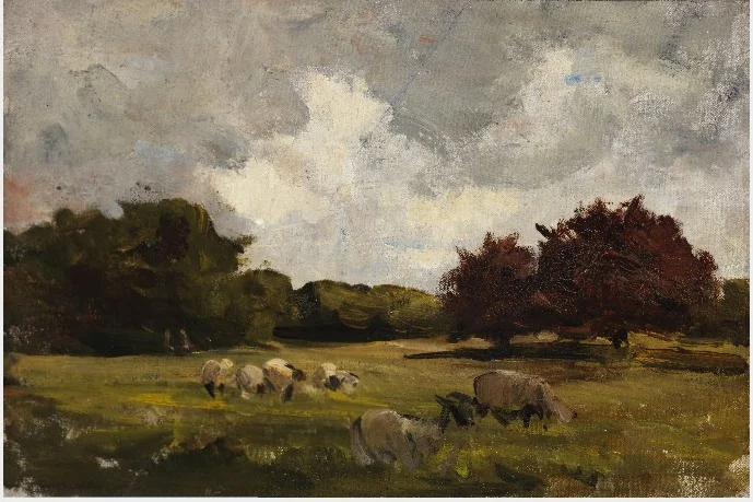 Sheep at Pasture