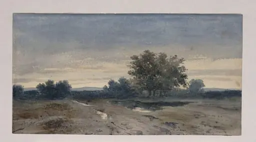 After the rain.  Landscape with trees and a pond