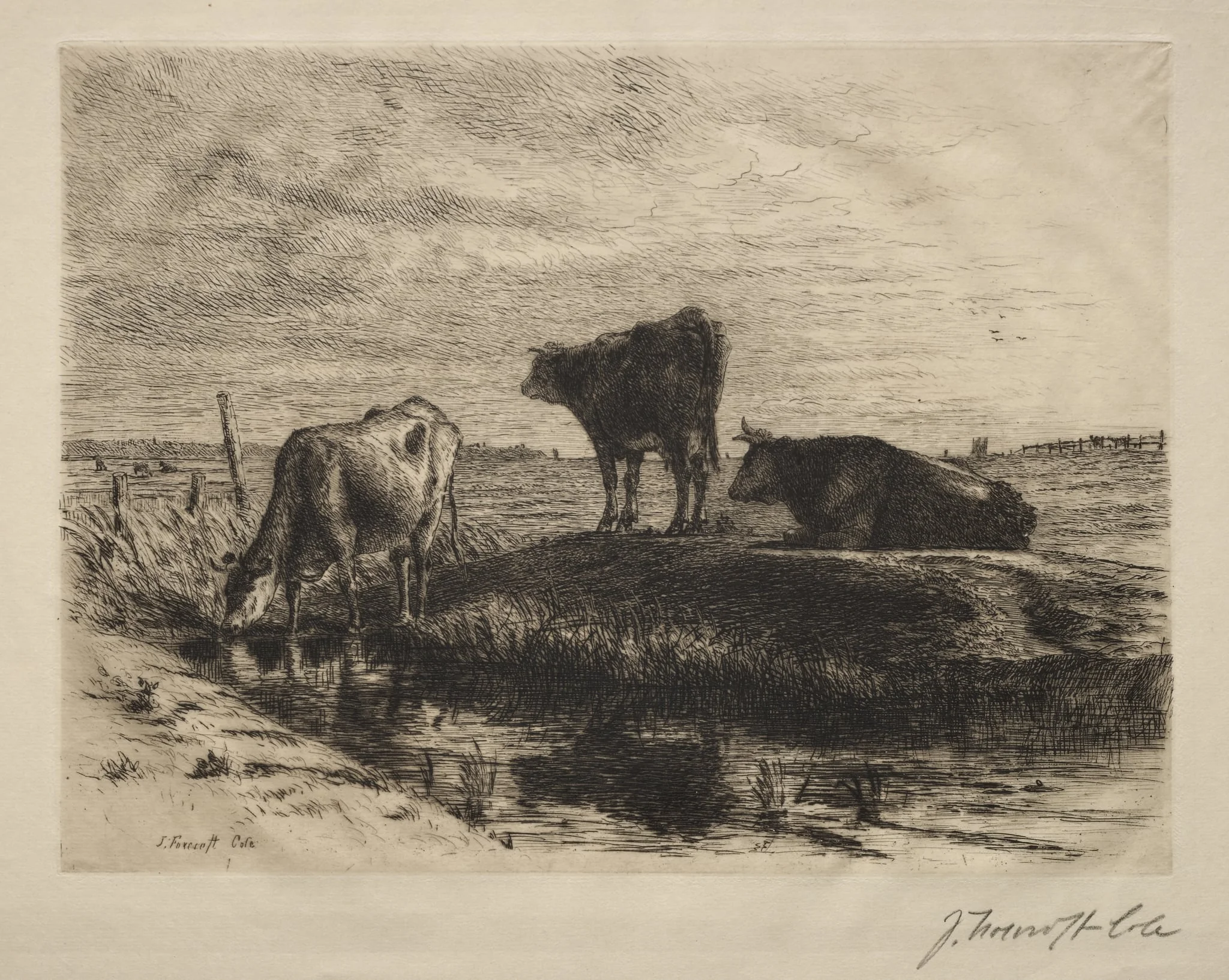 The Three Cows, by Joseph Foxcroft Cole, 1874