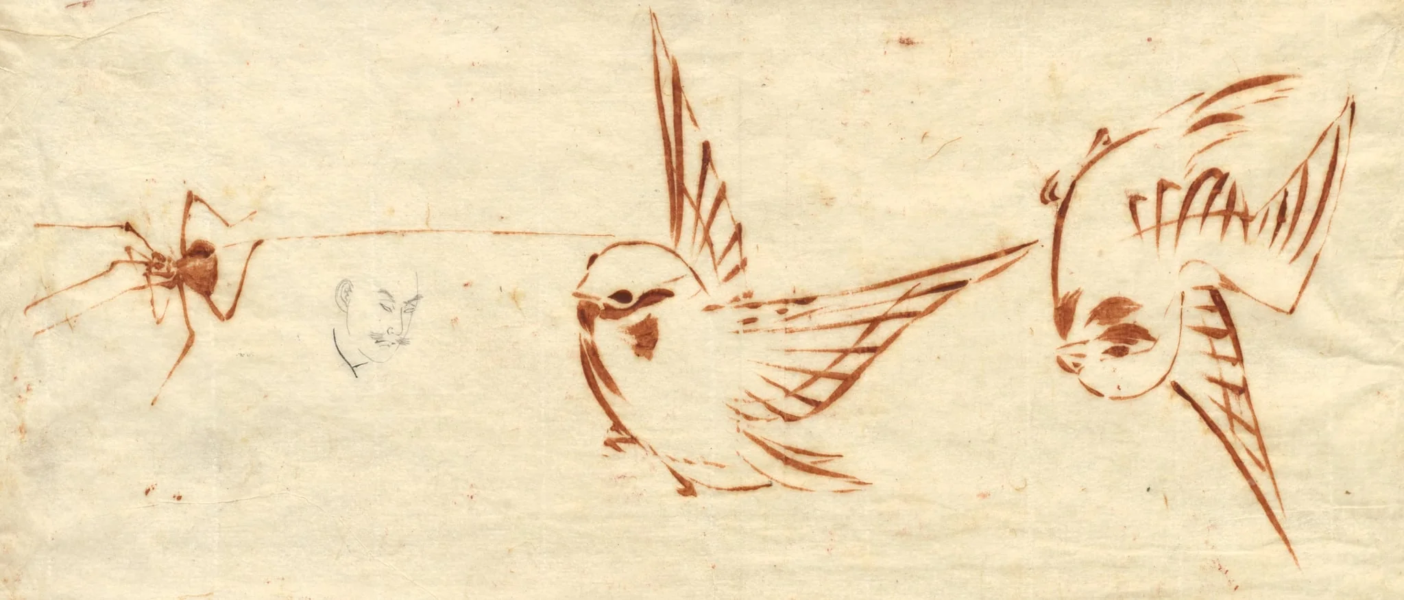 Sketch Page with Birds and Spider, by Katsushika Hokusai, 1784