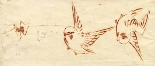 Sketch Page with Birds and Spider