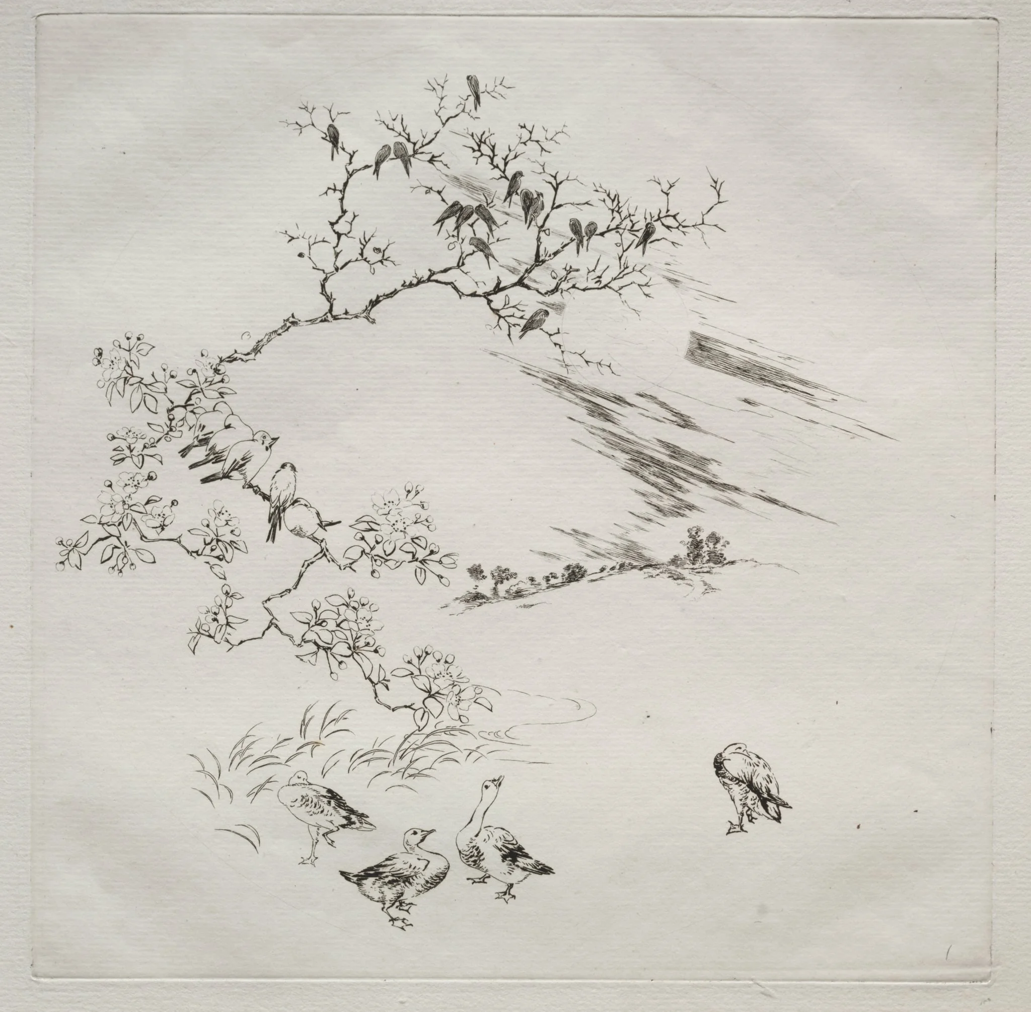 Parisian Service (Haviland service): Night (no. 7), by Félix Bracquemond, 1875