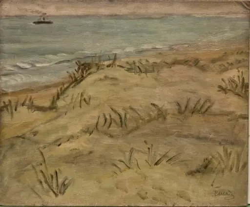 Țărm de mare