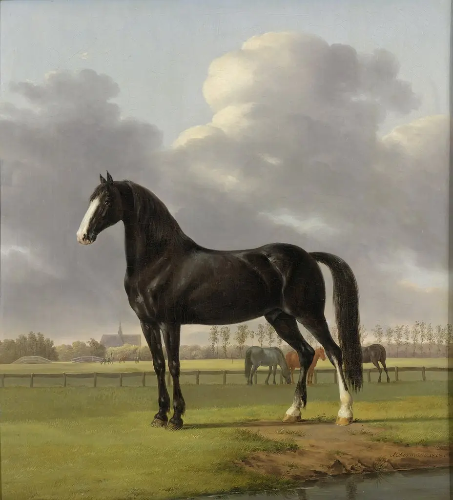 Adriaan van der Hoop’s Trotter ‘De Vlugge’ (The Fast One) in a Meadow