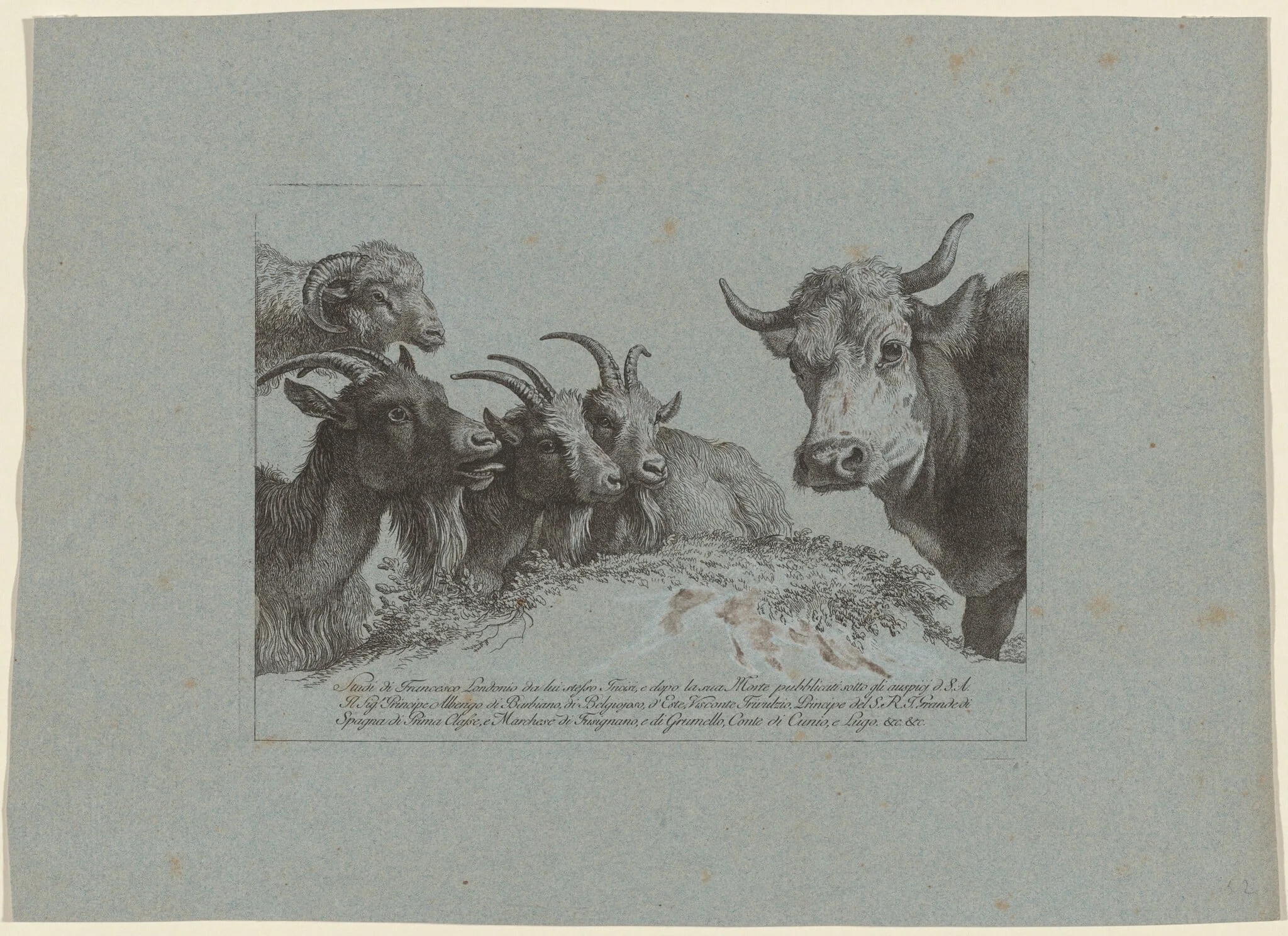 Study of Heads: Three Goats, an Ox, and a Ram, by Francesco Londonio, ink, 1783