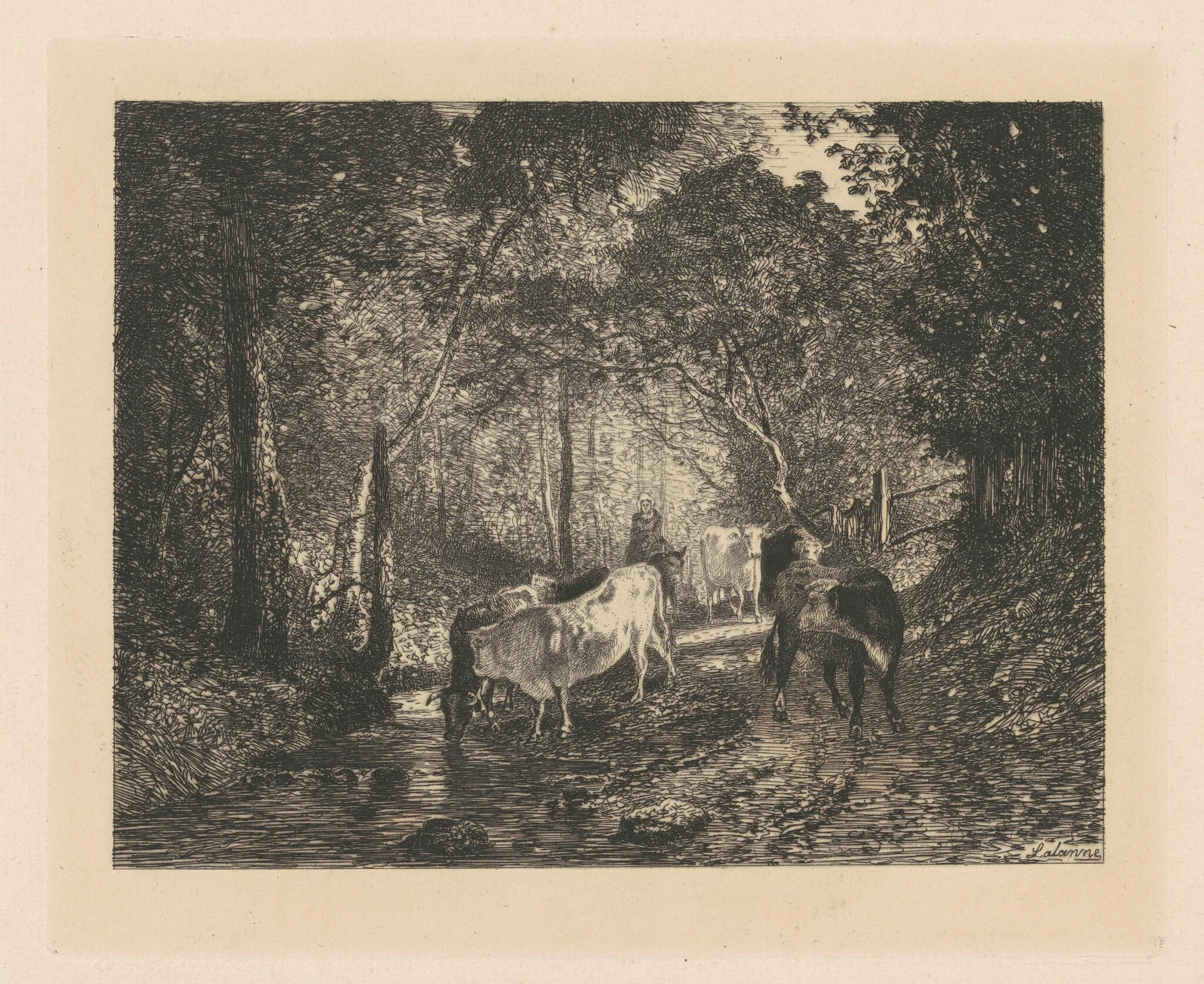 Vaches Sous Bois