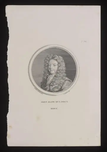 H Beard Print Collection
