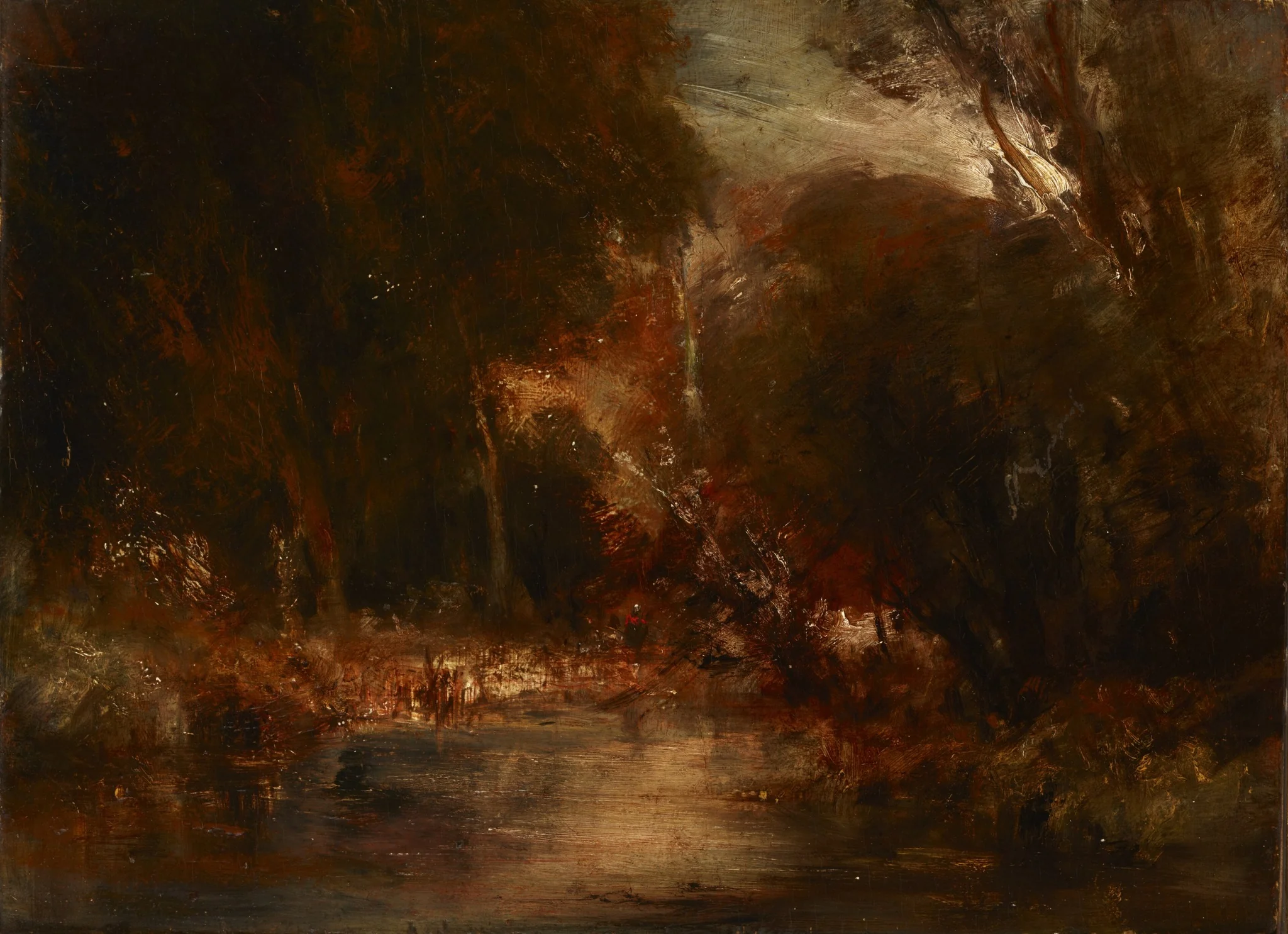 Forest Landscape