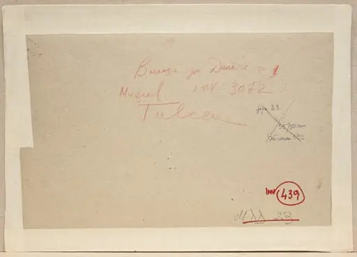 Barcaze pe Dunăre