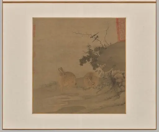 Magpies and Wild Rabbits