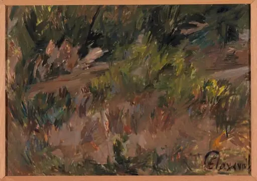 Outdoor study