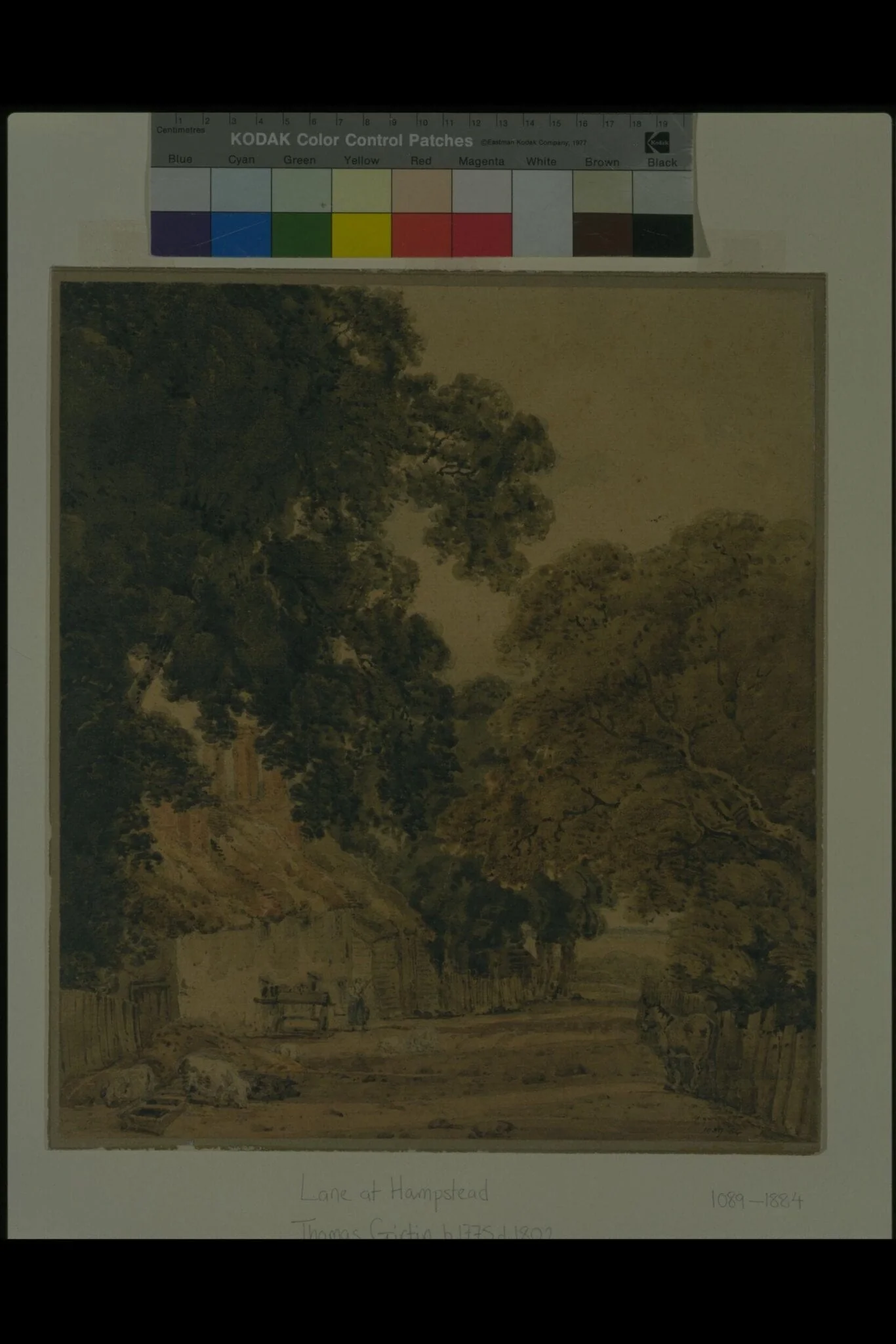 Lane at Hampstead, by Girtin, watercolor, 1798
