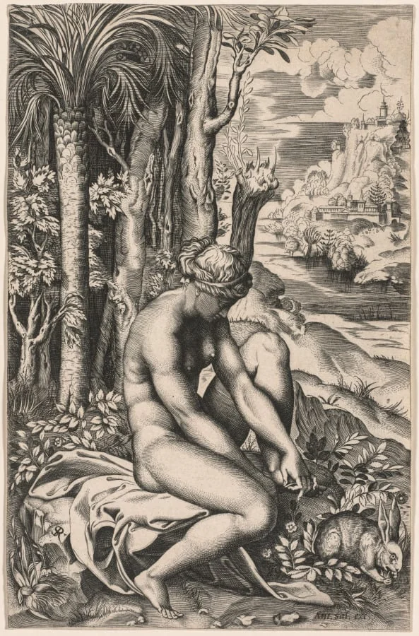 Venus Wounded by a Rose's Thorn, by Marco Dente, 1516