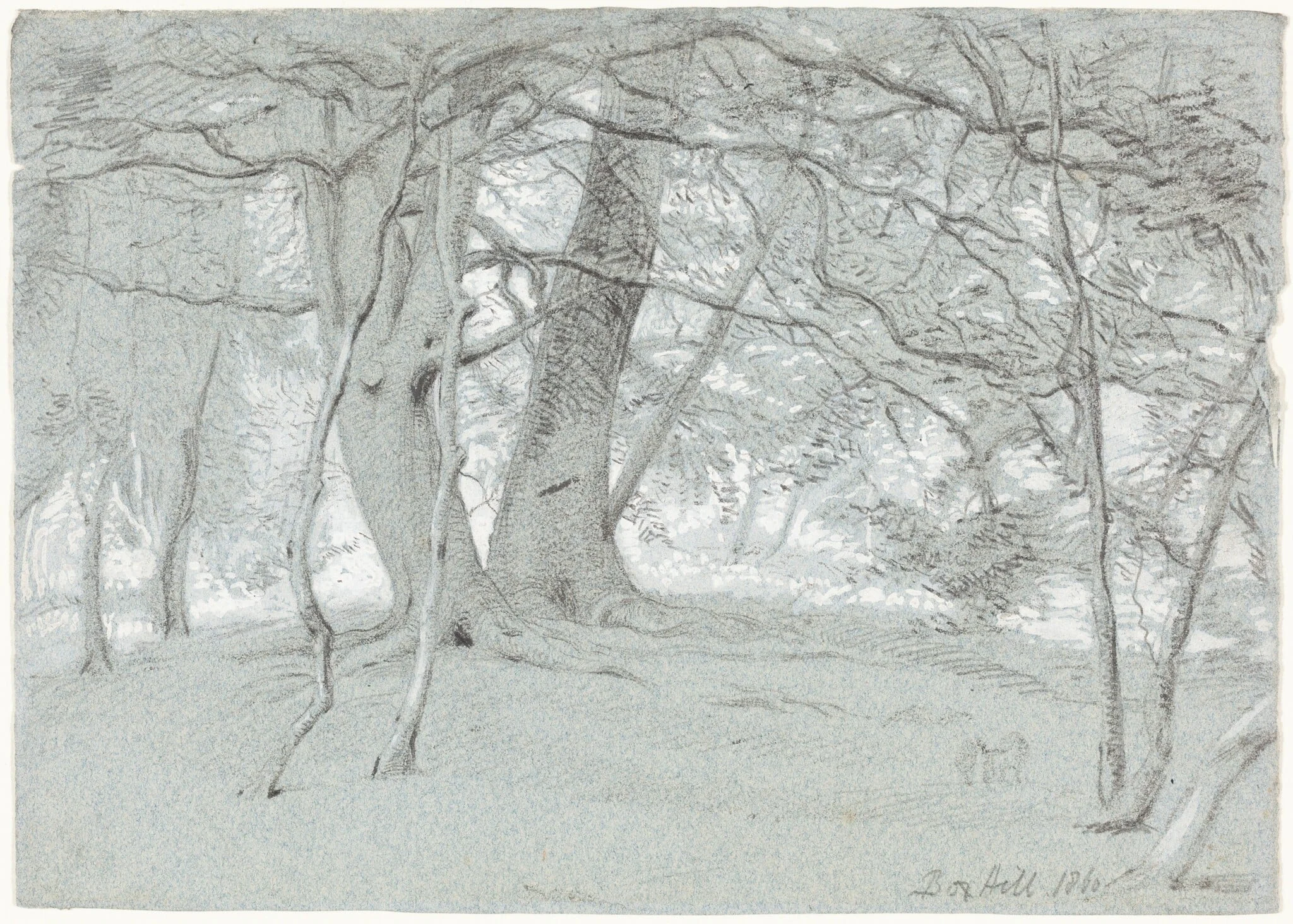 Trees at Box Hill, by William Blake, Sir Richmond, chalk, 1860