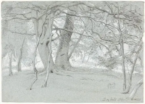Trees at Box Hill