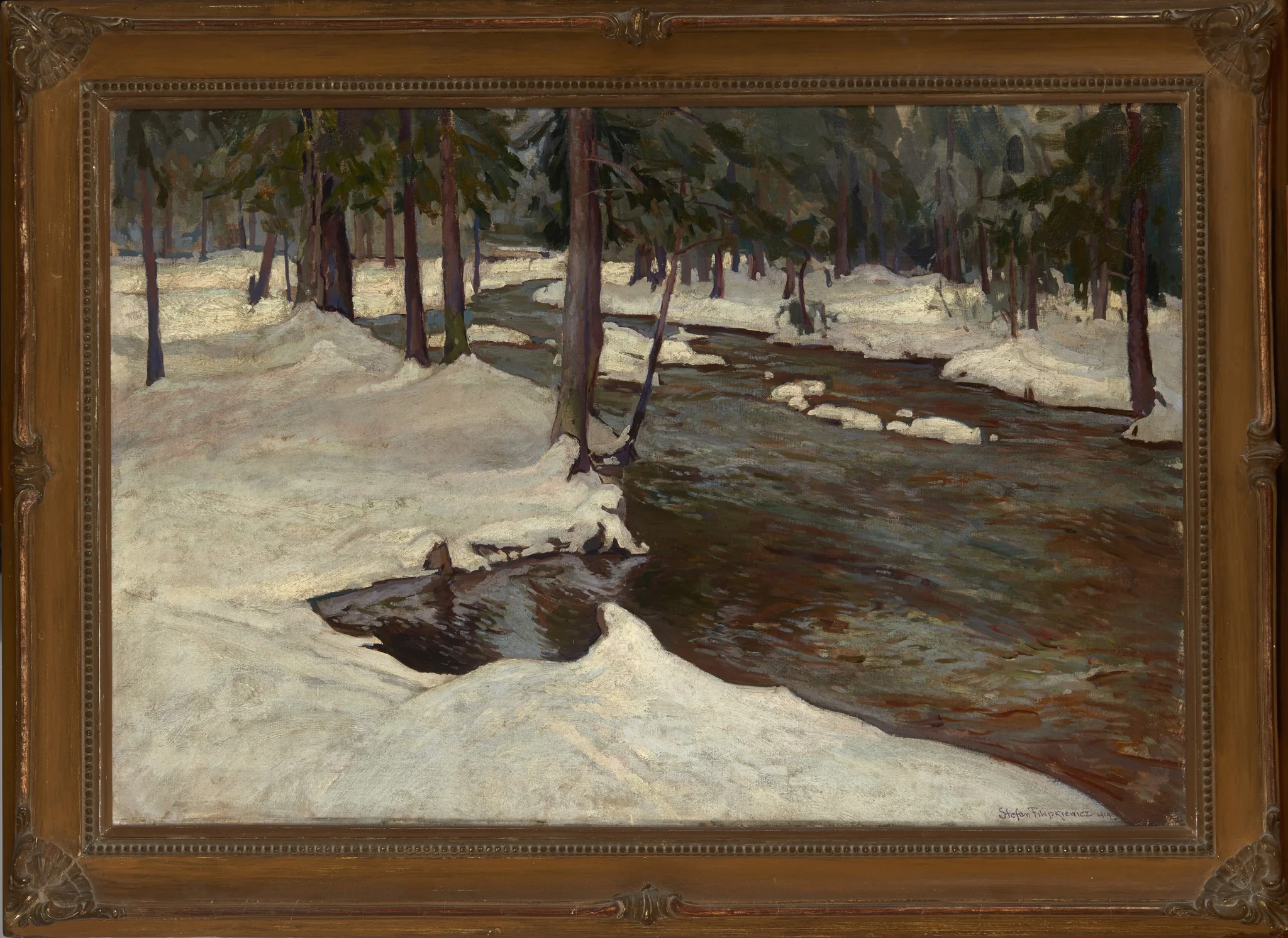 Forest Stream