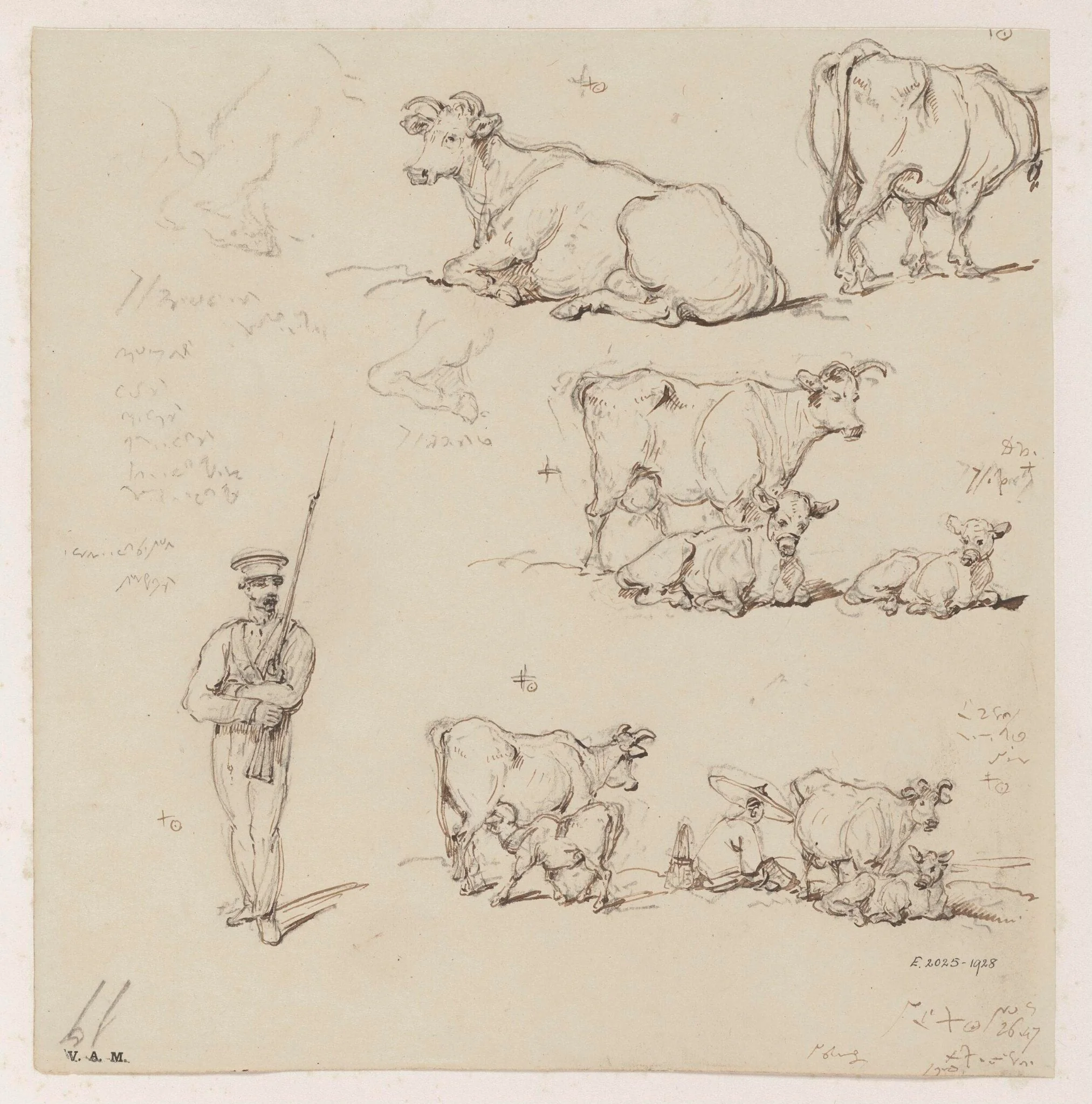 Drawings of cattle and a soldier