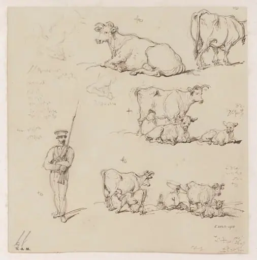 Drawings of cattle and a soldier