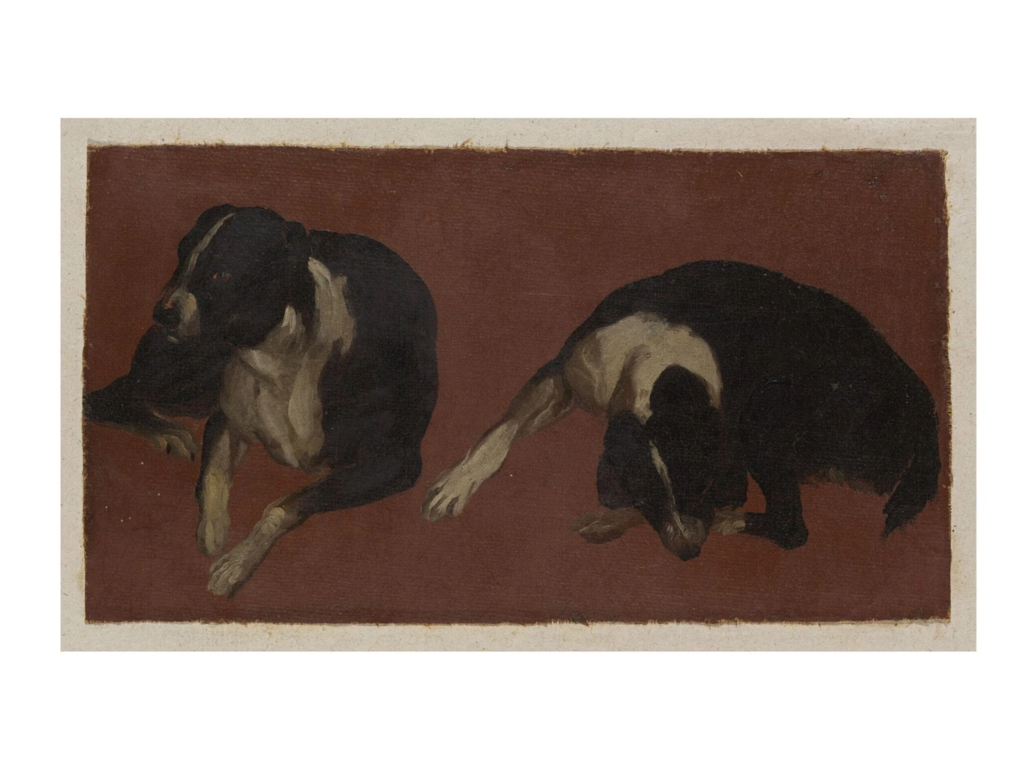 Two Studies of a Dog, by Luca Carlevarijs, oil, 1700