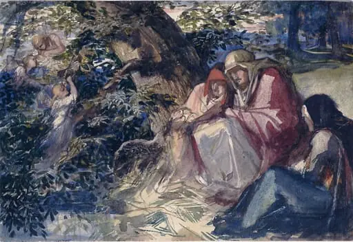 In the Woodland