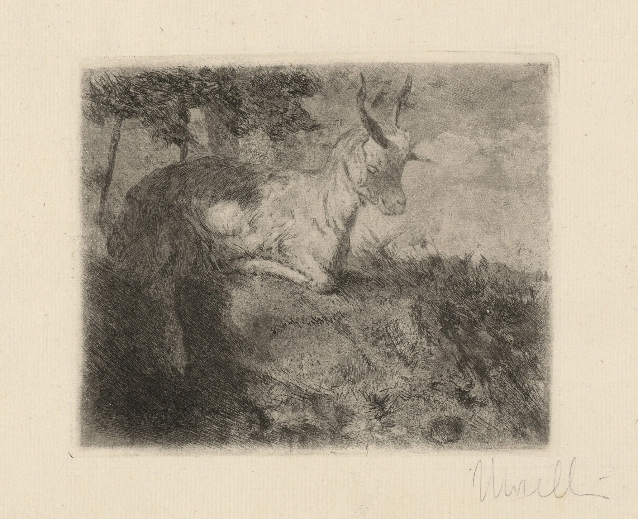 The Little Goat (La capretta), by Domenico Morelli, ink, 1879