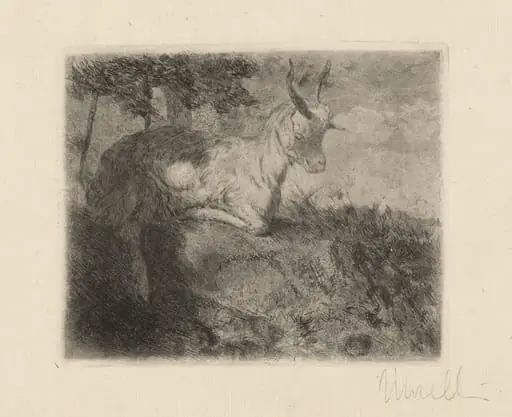 The Little Goat (La capretta)