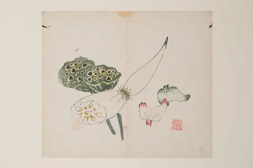 明   十竹齋書畫譜   四開|Page from Shi Zhu Zhai