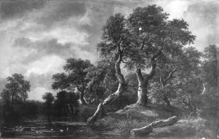 Wooded Landscape with Marsh