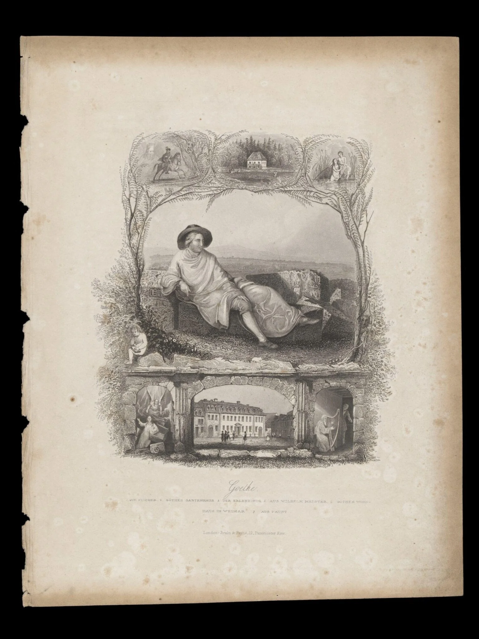 H Beard Print Collection