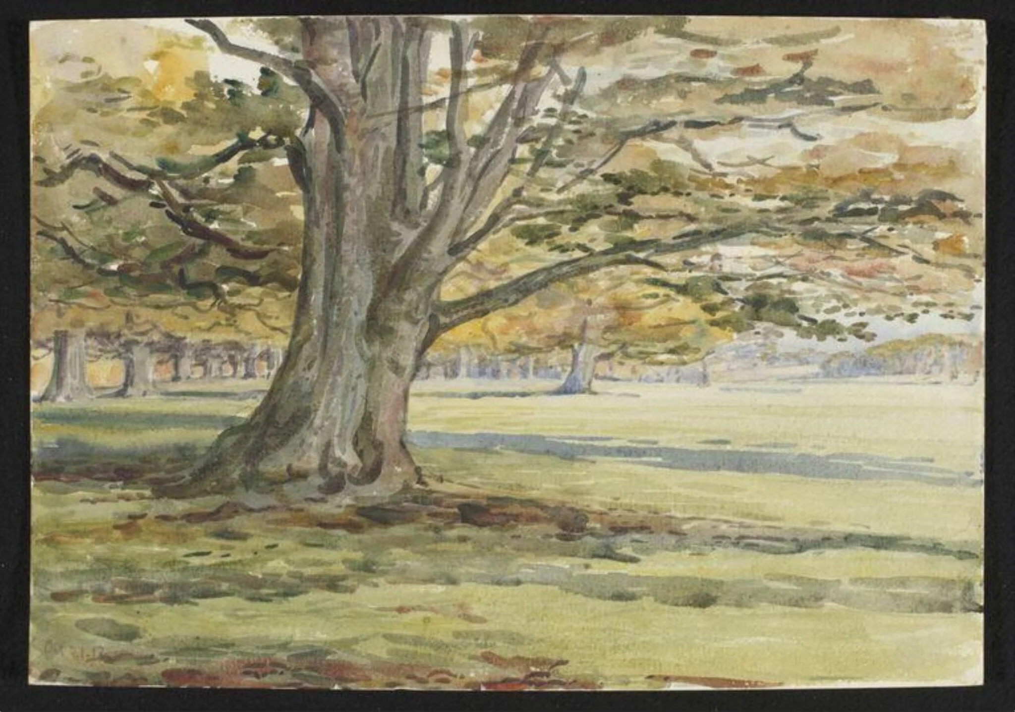 Untitled, by Beatrix Potter, watercolor, 16